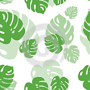 Tropical seamless pattern from monstera leaves. Stylish green summer texture. Spring jungle print from tropics