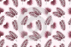 Tropický bezšvový vzor. palmy opakované textúra. vektor ilustrácie. . krásny obratník dizajn textilné 