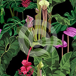 Tropical seamless pattern. Summer print. Jungle rainforest. Sarracenia, genus of carnivorous plants.