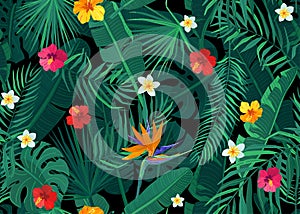 Tropical seamless pattern vector background with exotic palm, banana, monstera leaves and hibiscus, strelitzia