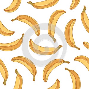 Tropical seamless pattern with whole banana fruits on white background. Endless fruity Hawaiian design for printing and