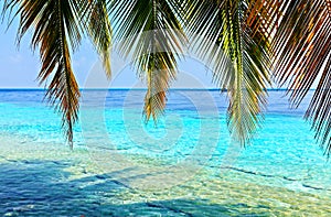 Tropical seascape photo