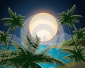 Tropical Seascape