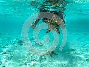 Tropical seascape in Los Roques Archipelago, Venezuela.