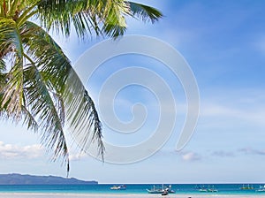 Tropical seascape with sky and palm tree