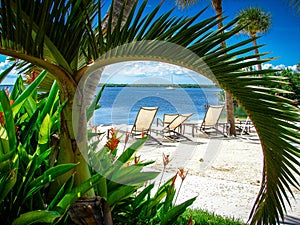 Tropical seating on a beach framed by a detailed green palm/tropical tree in the Florida Keys.