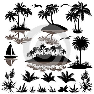 Tropical set with palms silhouettes