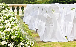 Tropical settings for a wedding