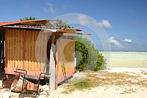 Tropical shack