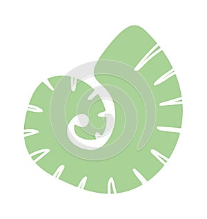 Tropical shell nautical boho element