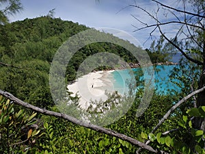 Tropical shore sightseen with palm spider photo