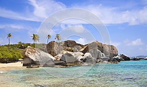 Tropical shoreline