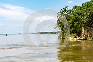Tropical shoreline of the Kazinga Channel - Uganda Africa