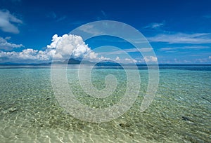 Tropical Sibuan Island In Sabah Borneo