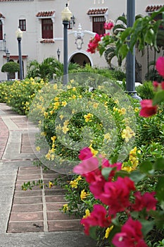 Tropical Sidewalk Landscaping