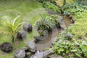 Tropical small river, Perdana Botanical Gardens Lake Gardens, Malaysia