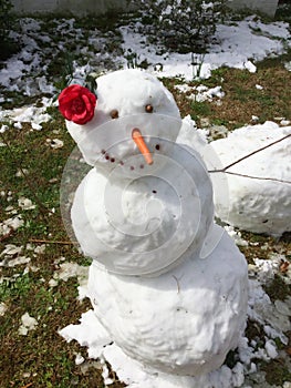 Tropical Snowman