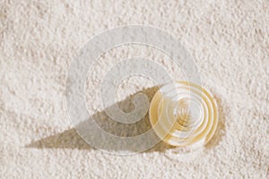 Tropical spiral seashell sea shell with on white beach sand