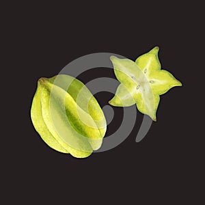 Tropical star fruit hand drawn watercolor illustration of carambola on dark background