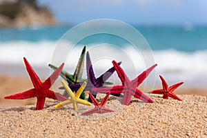 Tropical starfishes at the beach