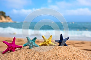 Tropical starfishes at the beach