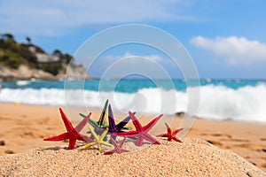 Tropical starfishes at the beach