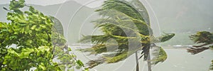 Tropical storm, heavy rain and high winds in tropical climates BANNER, LONG FORMAT