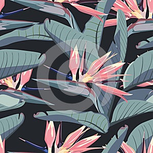 Tropical strelitzia flowers, blue banana palm leaves, dark background. Seamless pattern. Jungle foliage illustration.