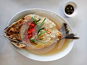 Tropical Stripped Catfish