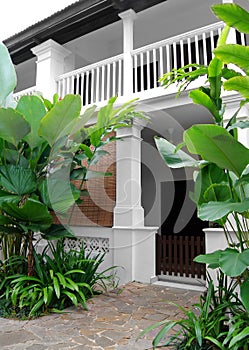 Tropical style house with lush garden photo