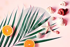 Tropical Summer Beach Background. Palm Trees Branches, tarfish, seashell and orange on pink summer background. Travel. Summer