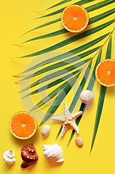 Tropical Summer Beach Background. Palm Trees Branches, tarfish, seashell and orange on yellow summer background. Travel. Summer