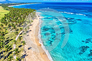 Tropical summer beach with coconut palm trees background. Aerial drone idyllic turquoise sea vacation background. Dominican