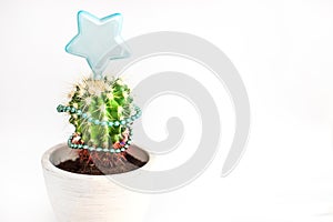 Tropical summer cactus looks like Christmas tree dressed in garland and with Christmas star on top. New Year's