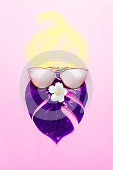 Tropical summer concept. Trandy hipster Monster in pink glasses. Creative poster - neon bright background. Trendy style