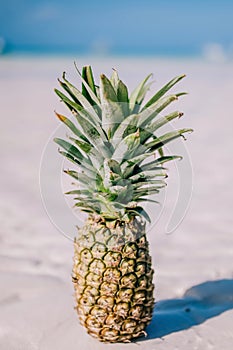 Tropical summer delight. Close-up fresh pineapple on the beach