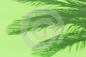 Tropical summer holidays blurred background with palm leaves shadows