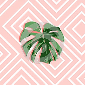 Tropical summer pink background with leaves palm