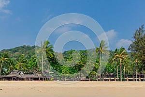 Tropical sunny beach with palm trees. Thailand. Asia. Sand. Summer