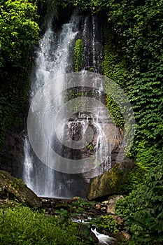 Tropical sunny landscape Bali - fresh summer wild powerful waterfall in jungle with lush green foliage, rainforest, wet moss.