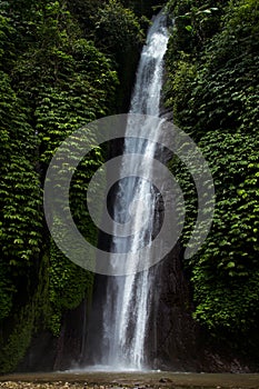 Tropical sunny landscape - fresh summer high waterfall in jungle with lush green foliage, rainforest, wet moss, stream of purity.
