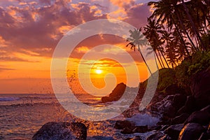 Tropical sunset beach with palm trees and rocks with shiny wave splash
