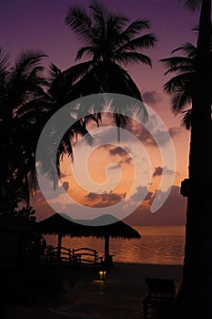 Tropical sunset at the beach with palms