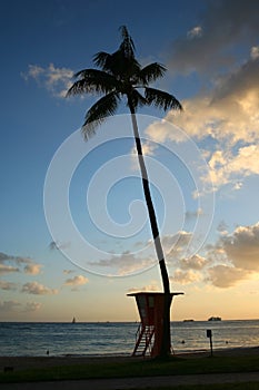 Tropical sunset beach in Waikiki, Hawaii