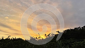 Tropical sunset with cloud striations over forest