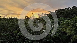 Tropical sunset with cloud striations over lush forest