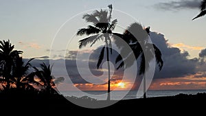 Tropical Sunset over the Ocean with Palm Trees