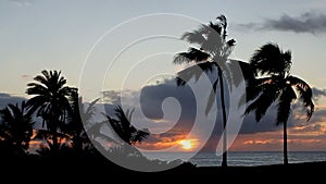 Tropical Sunset over the Ocean with Palm Trees