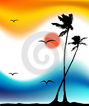 Tropical sunset, palm tree silhouette