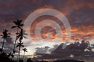 Tropical Sunset With Palm Tree silhouette with dramatic clouds. Vacation and travel concept.